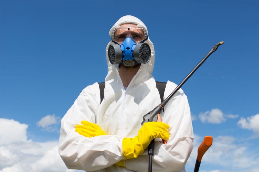 Control de plagas Control de plagas Toledo