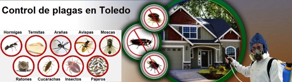 Control de plagas en Toledo Antiplagas Toledo