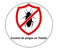 Control de plagas en Toledo
